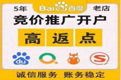 成功案例解析：SEM托管公司服务优势